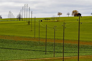 爱游戏app活动-法甲球员比赛压力下技术动作选择的应激反应研究,法甲青训