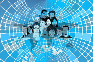 爱游戏入口-美国队赛制分析：赛制中的人员调整与战术变化，美国队训练赛