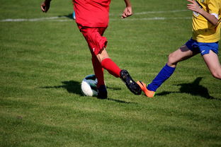 爱游戏app-特色足球文化在国际博览会中亮相，展示国家软实力，世界足球文化