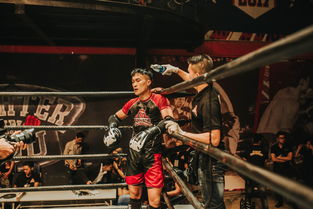 爱游戏官网-国足球员技术动作标准化训练，足球技术动作要领